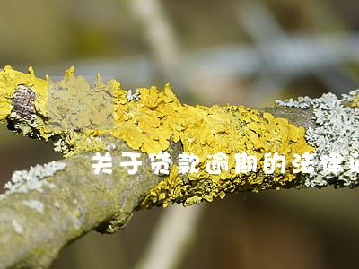 关于贷款逾期的法律问题 关于贷款逾期的法律问题