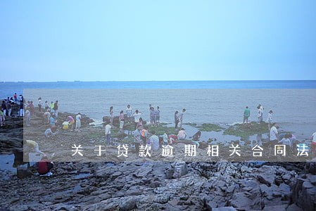 关于贷款逾期相关合同法规定 关于贷款逾期相关合同法规定