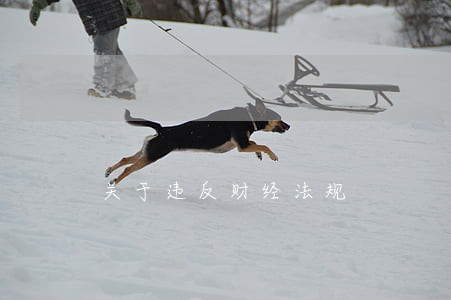 关于违反财经法规 关于违反财经法规