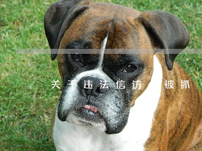 关于违法信访必被抓 关于违法信访必被抓
