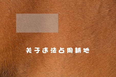 关于违法占用耕地 关于违法占用耕地