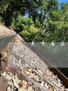 关于违法发放贷款罪说法正确的是 关于违法发放贷款罪说法正确的是