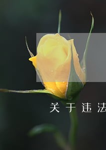 关于违法建筑的执行问题 关于违法建筑的执行问题