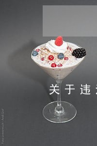 关于违法执行案监督报告