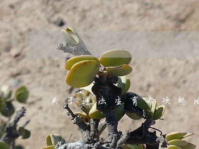 关于违法生育专项整治 关于违法生育专项整治