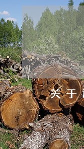 关于退房的法律咨询话 关于退房的法律咨询话