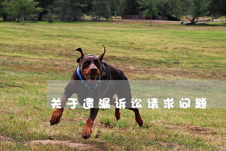 关于遗漏诉讼请求问题