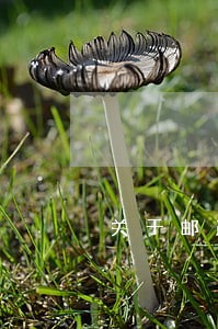 关于邮政信用卡逾期问题 关于邮政信用卡逾期问题