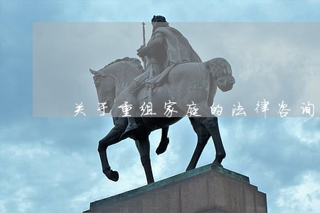 关于重组家庭的法律咨询