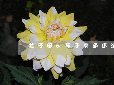 关于闽a车子交通违法没拍到脸 关于闽a车子交通违法没拍到脸