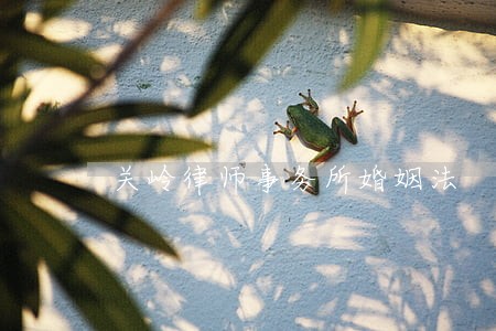 关岭律师事务所婚姻法 关岭律师事务所婚姻法