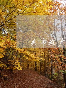 关市破产解散律师 关市破产解散律师