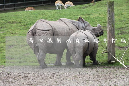 关心法制从我做起手抄报 关心法制从我做起手抄报