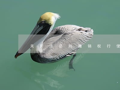 关民法总则撤销权行使的时间 关民法总则撤销权行使的时间