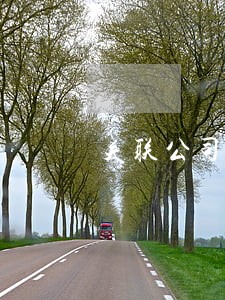 关联公司配合诉讼 关联公司配合诉讼
