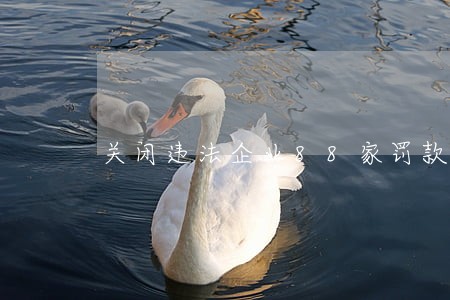 关闭违法企业88家罚款909万 关闭违法企业88家罚款909万