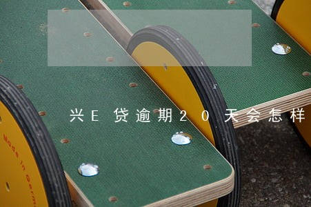 兴E贷逾期20天会怎样 兴E贷逾期20天会怎样