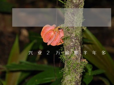 兴业2万逾期半年多 兴业2万逾期半年多