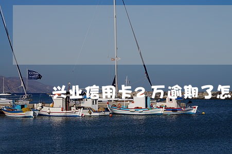 兴业信用卡2万逾期了怎么办
