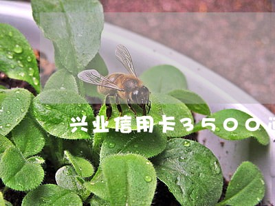 兴业信用卡3500逾期一年 兴业信用卡3500逾期一年