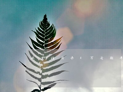 兴业信用卡4万逾期半年 兴业信用卡4万逾期半年