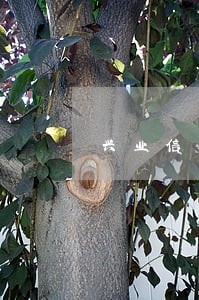 兴业信用卡一万六逾期