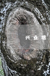 兴业信用卡七年前有逾期怎么办 兴业信用卡七年前有逾期怎么办
