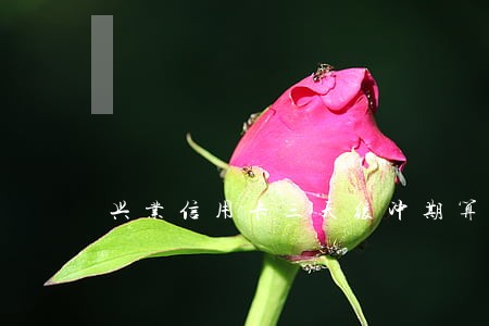 兴业信用卡三天缓冲期算逾期吗 兴业信用卡三天缓冲期算逾期吗