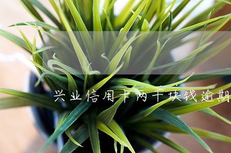 兴业信用卡两千块钱逾期 兴业信用卡两千块钱逾期
