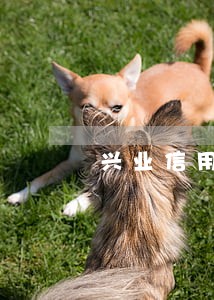 兴业信用卡五万逾期两个会怎 兴业信用卡五万逾期两个会怎