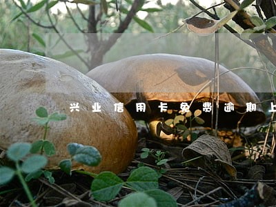 兴业信用卡免费逾期上征信嘛 兴业信用卡免费逾期上征信嘛