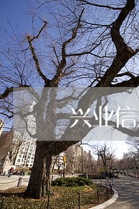 兴业信用卡兴享贷逾期3个月 兴业信用卡兴享贷逾期3个月