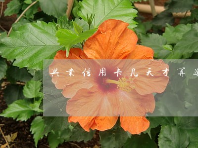 兴业信用卡几天才算逾期 兴业信用卡几天才算逾期