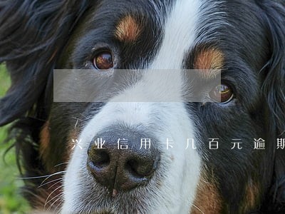 兴业信用卡几百元逾期5天会怎样 兴业信用卡几百元逾期5天会怎样