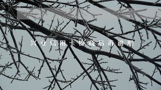 兴业信用卡协商后再逾期