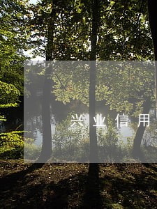 兴业信用卡卡逾期说15天管制