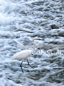 兴业信用卡可以只还本金吗 兴业信用卡可以只还本金吗