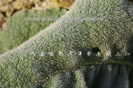 兴业信用卡年费逾期上征信 兴业信用卡年费逾期上征信