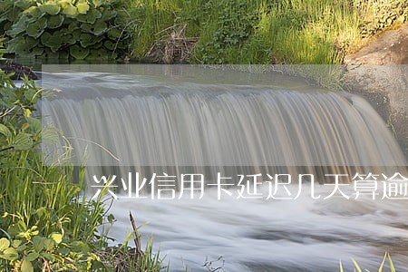 兴业信用卡延迟几天算逾期