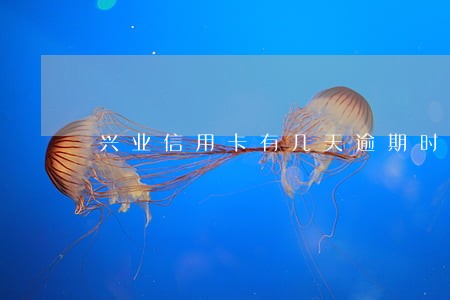 兴业信用卡有几天逾期时间