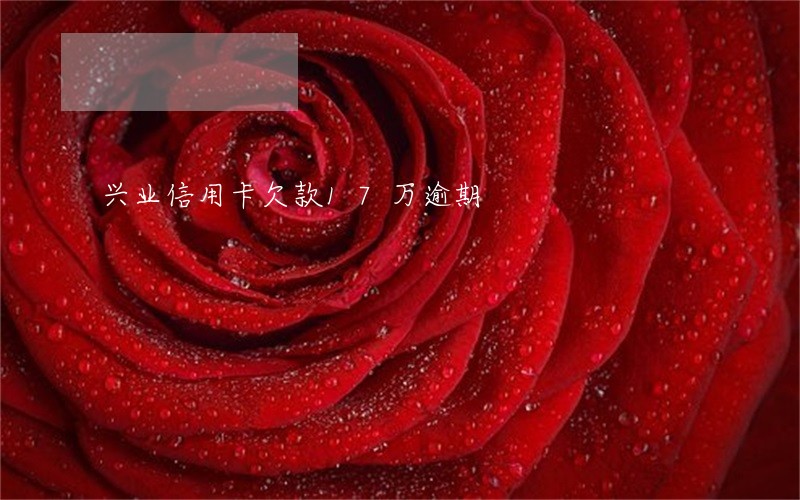 兴业信用卡欠款17万逾期