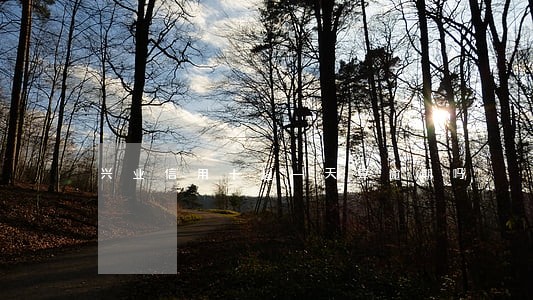 兴业信用卡超一天算逾期吗 兴业信用卡超一天算逾期吗