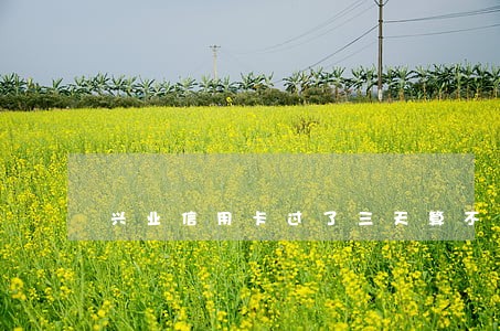 兴业信用卡过了三天算不算逾期