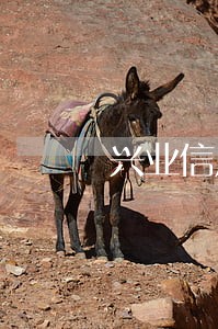 兴业信用卡迟还两天算逾期吗 兴业信用卡迟还两天算逾期吗