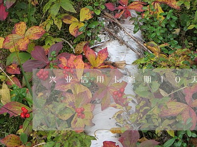 兴业信用卡逾期10天算逾期吗 兴业信用卡逾期10天算逾期吗