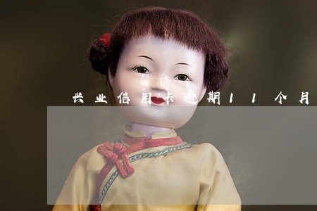 兴业信用卡逾期11个月 兴业信用卡逾期11个月