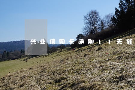 兴业信用卡逾期11天催收 兴业信用卡逾期11天催收