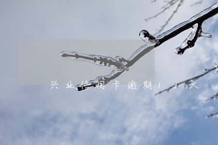 兴业信用卡逾期12天