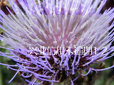 兴业信用卡逾期12天说停卡 兴业信用卡逾期12天说停卡