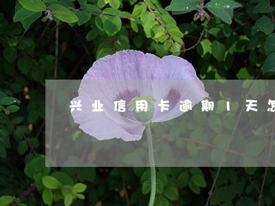 兴业信用卡逾期1天怎么办 兴业信用卡逾期1天怎么办